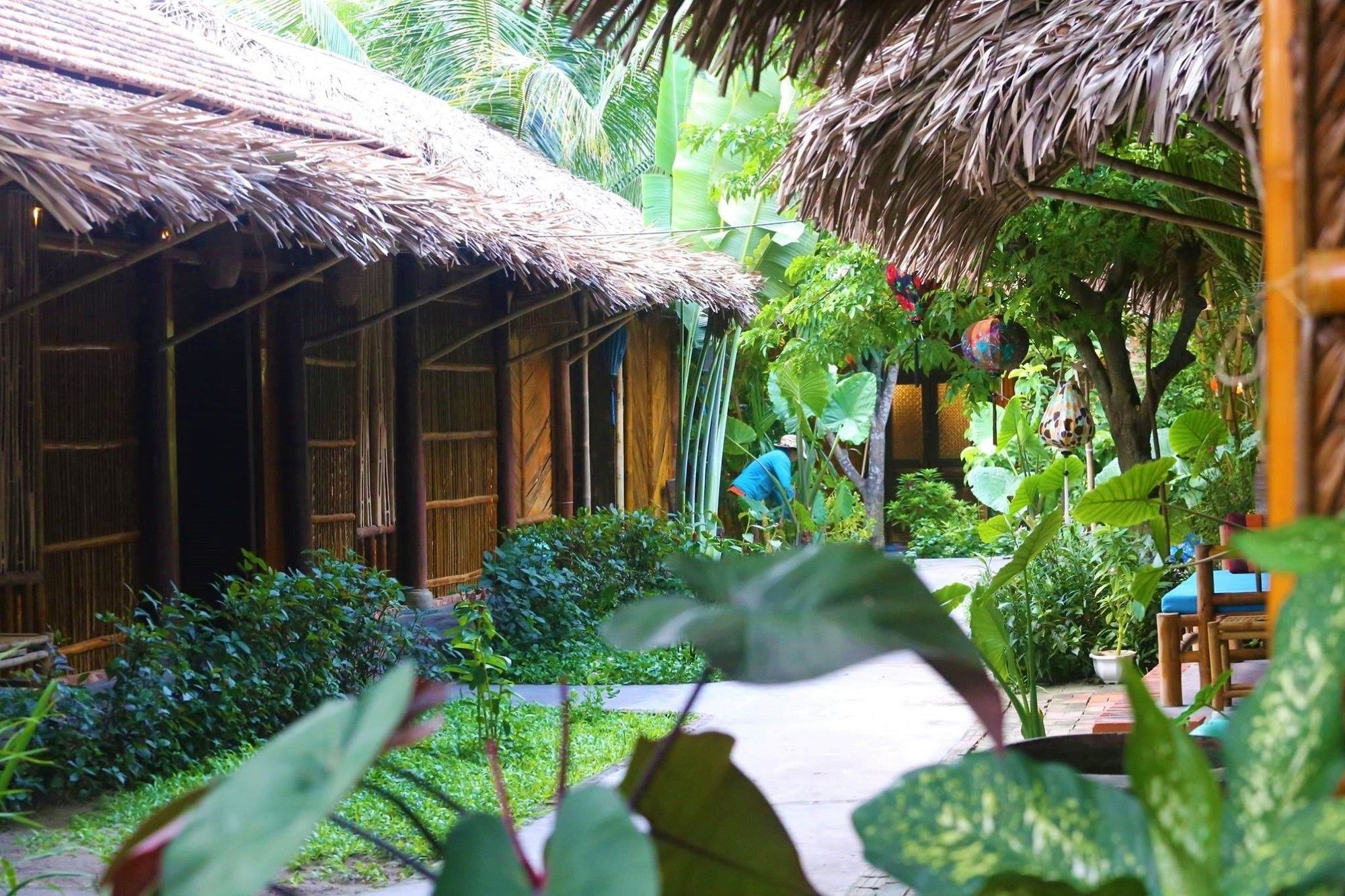 Hotel Under The Coconut Tree Hoi An Zewnętrze zdjęcie