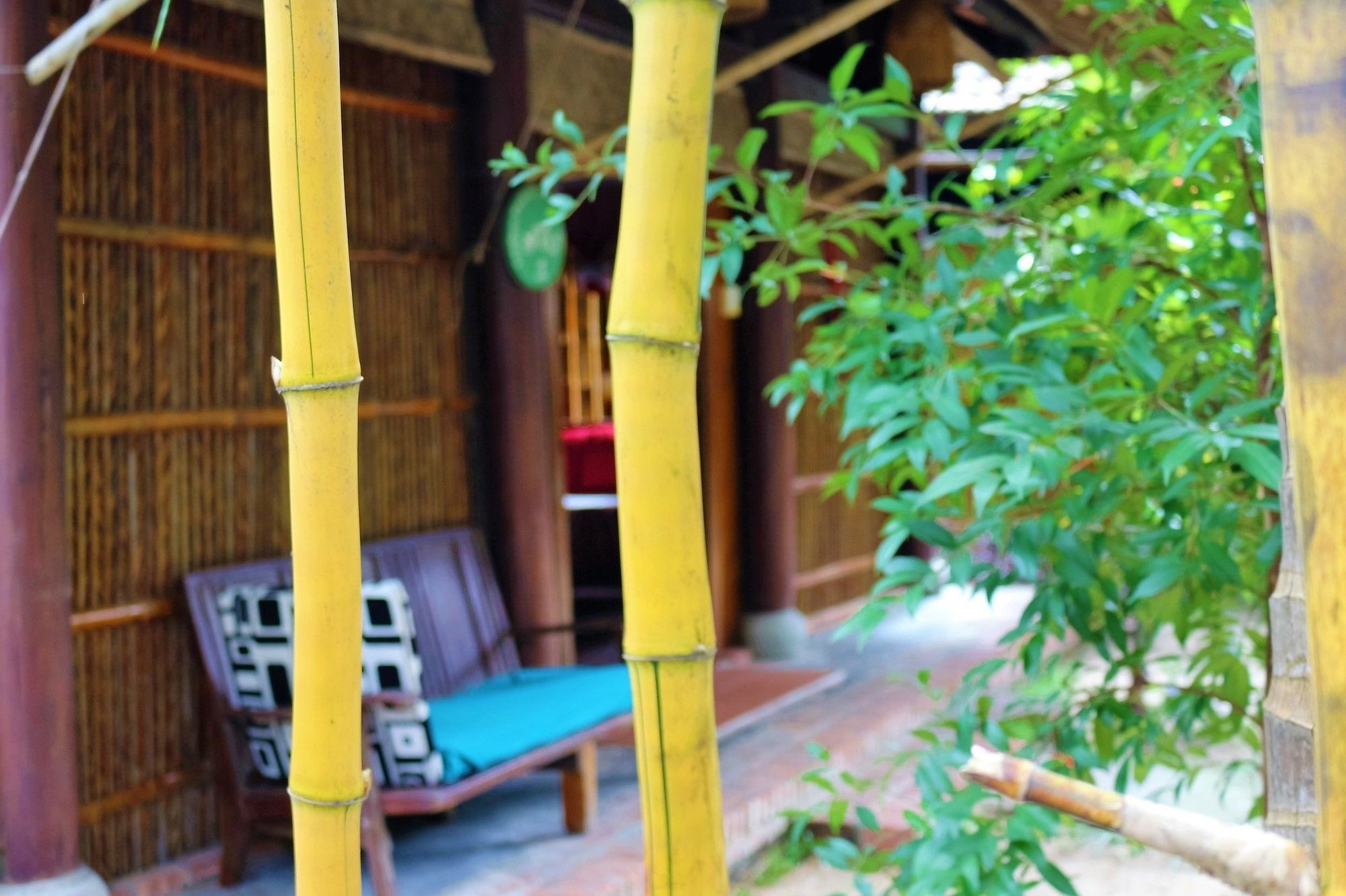 Hotel Under The Coconut Tree Hoi An Zewnętrze zdjęcie